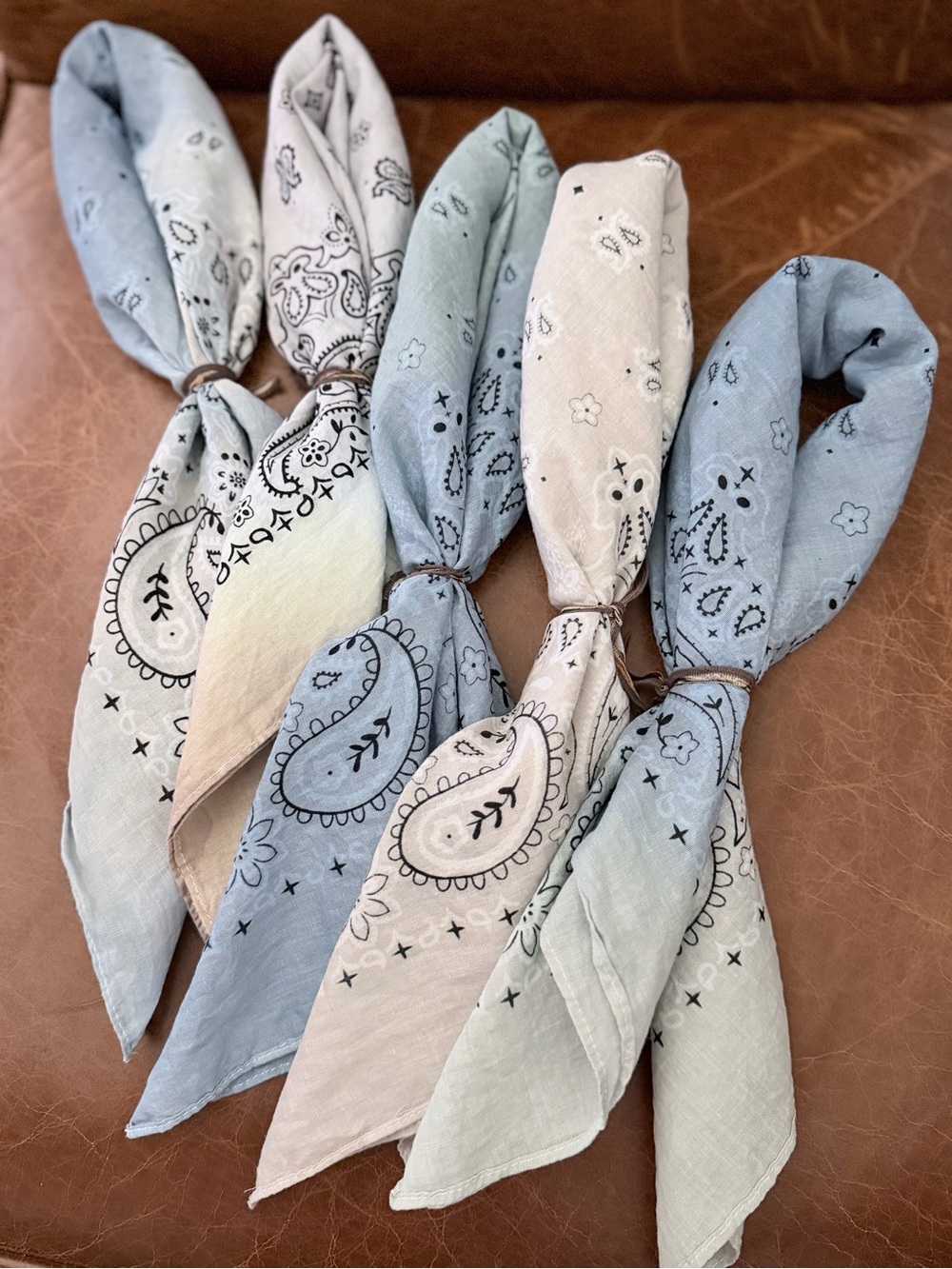 Bandana Hair Scarves - Set of 5 “DENIM & DUST Collection” Cotton Paisley